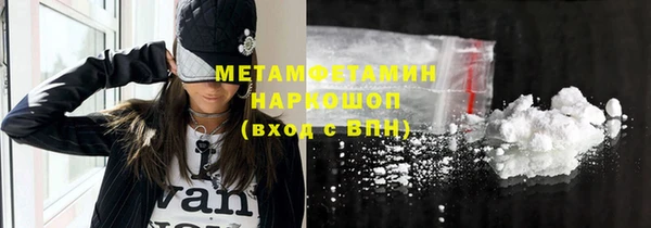 сатива Беломорск