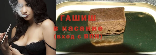 сатива Беломорск