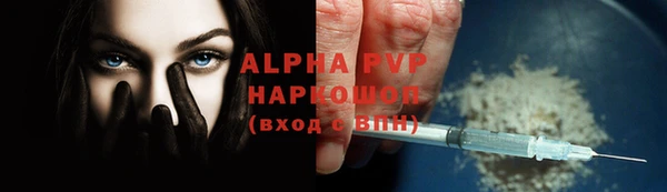 сатива Беломорск