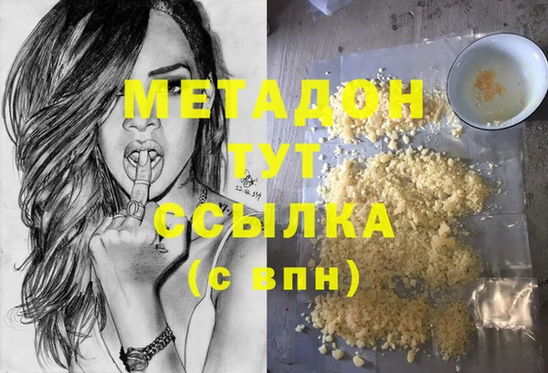 сатива Беломорск