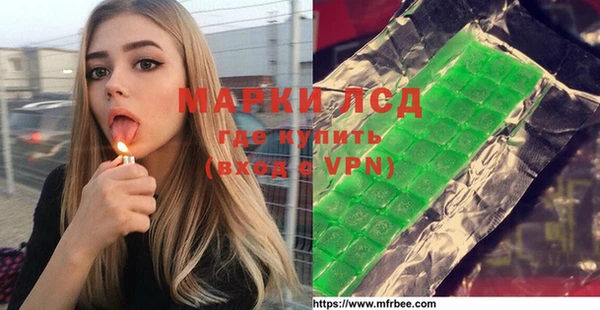 сатива Беломорск