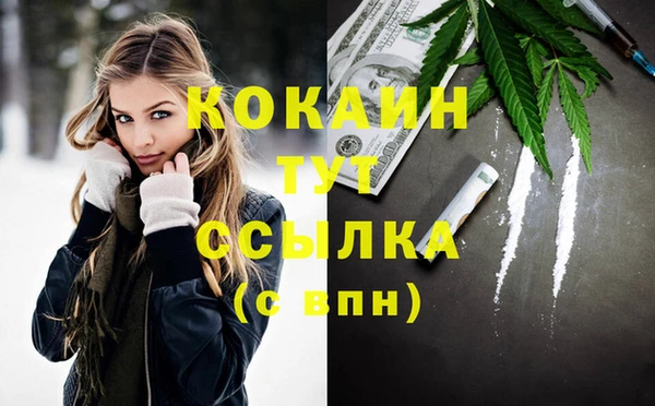 сатива Беломорск