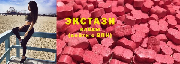 сатива Беломорск