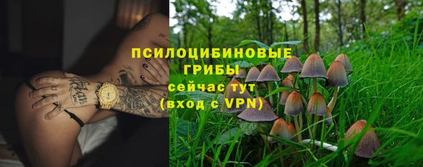 кокс Белокуриха