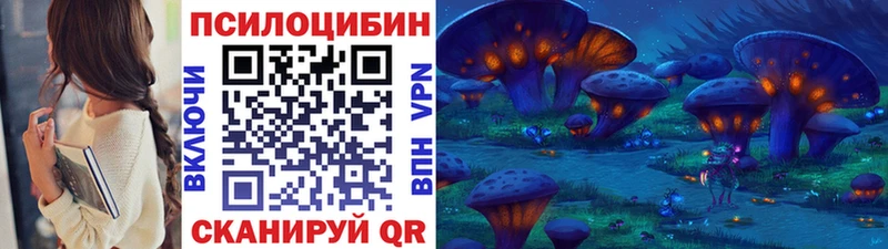 Галлюциногенные грибы Psilocybine cubensis  Краснокаменск 